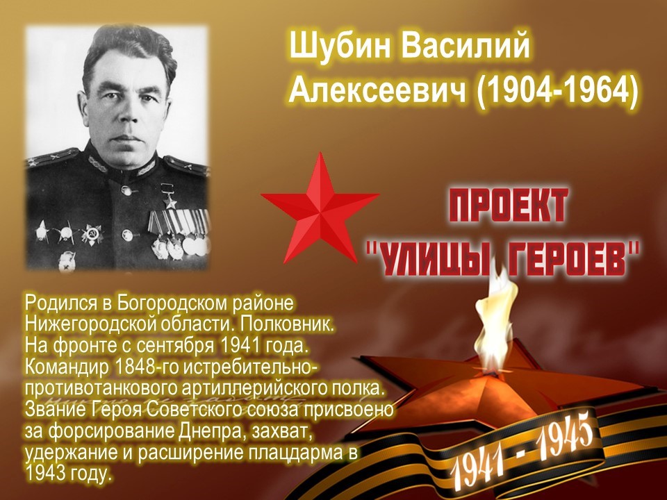 Улица Шубина (г.Богородск)
