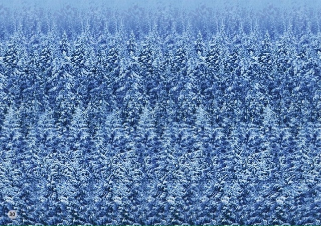 #ПятничнаяФантомашка