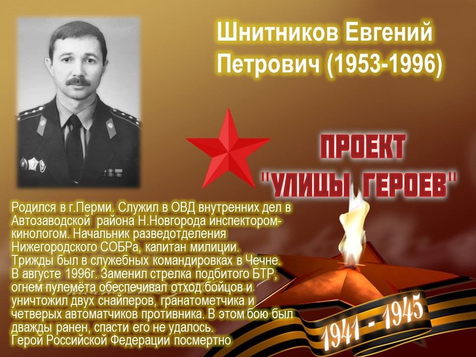 Улица Героя Шнитникова (Автозаводский район, г.Н.Новгород)