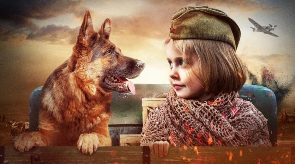 Джульбарс (2020) Джульбарс (2020)