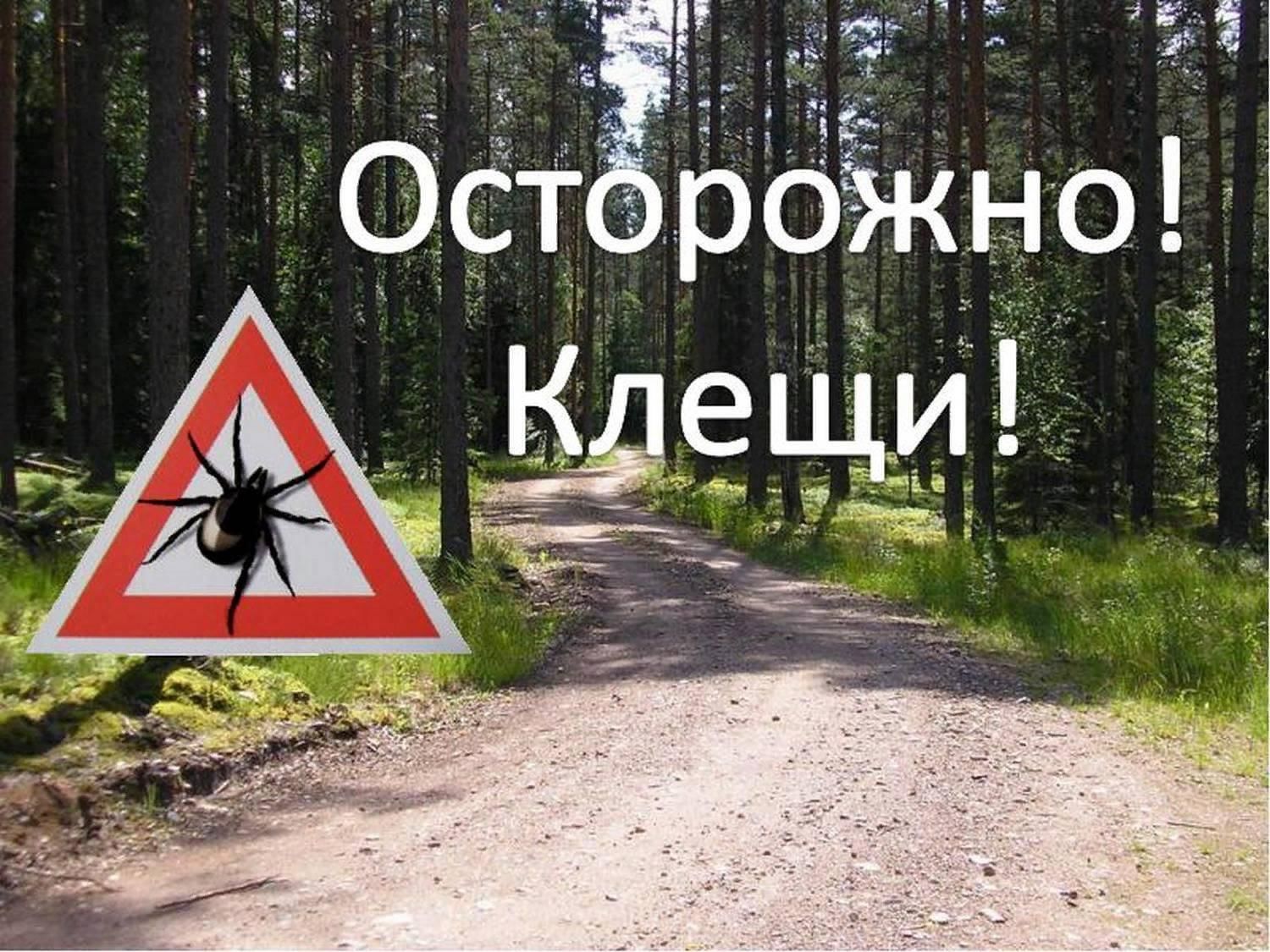 #ПрофсоюзПредупреждает Уважаемые коллеги! Стоит хорошая погода, вы с семьями посещаете парки и леса. Будьте предельно осторожны и бдительны! #ПрофсоюзПредупреждает Уважаемые коллеги! Стоит хорошая погода, вы с семьями посещаете парки и леса. Будьте предельно осторожны и бдительны!