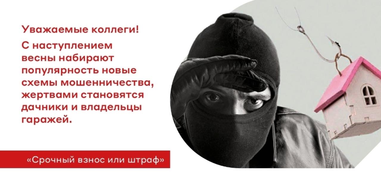 #ПрофсоюзПредостерегает С наступлением весны появляются новые схемы мошенничества: жертвами становятся дачники и владельцы гаражей