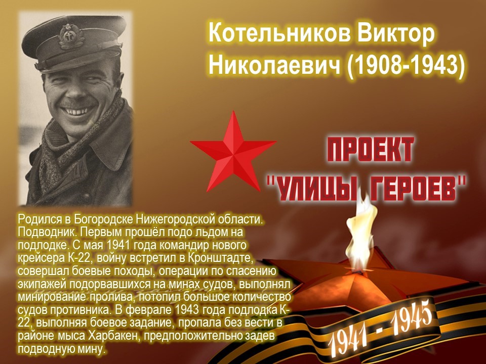 Улица Котельникова (г.Богородск)