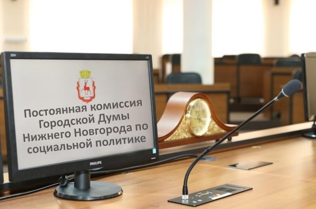 19 февраля 2026г. в режиме видеоконференции состоялось очередное заседания постоянной комиссии городской Думы Нижнего Новгорода по социальной политике.