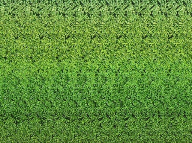 #ПятничнаяФантомашка