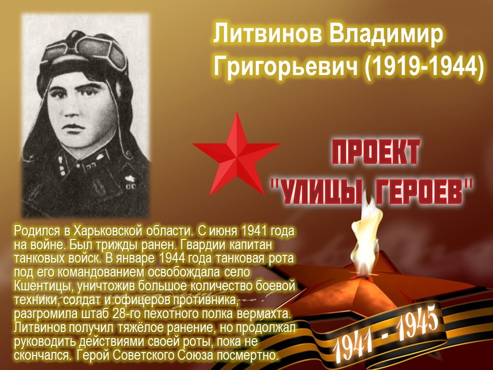Улица Литвинова (Канавинский район, г.Н.Новгород)