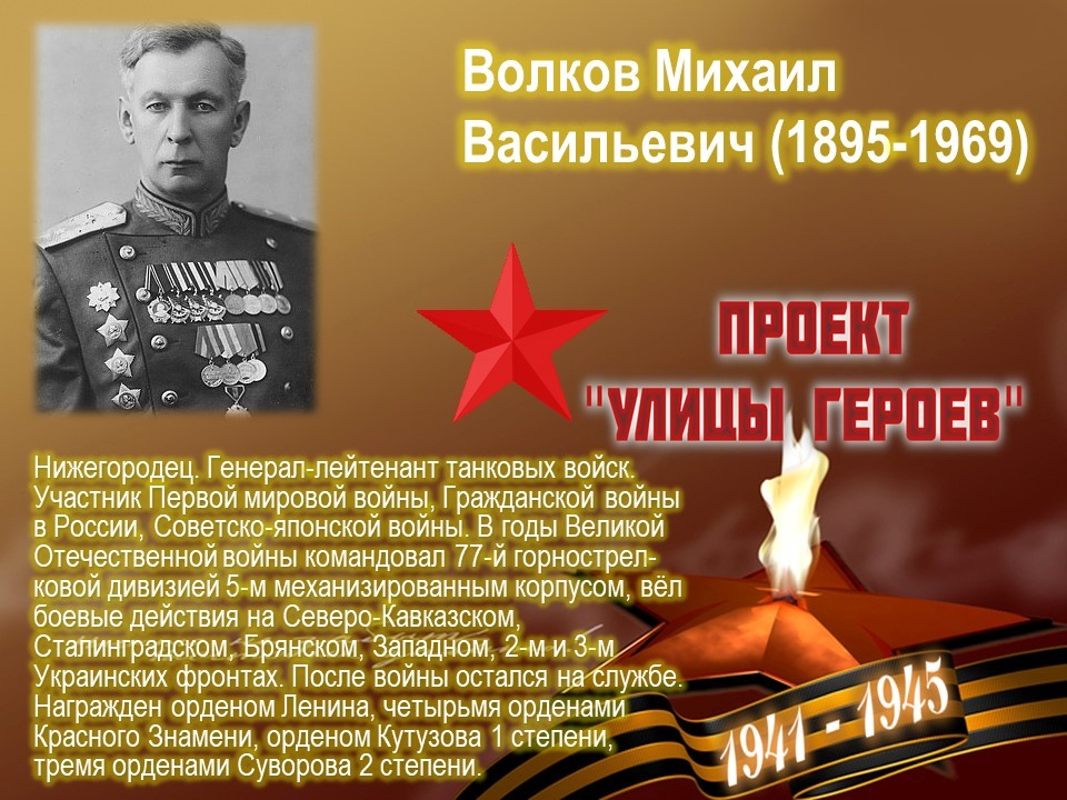 Улица Волкова (Автозаводский район, г.Н.Новгород)