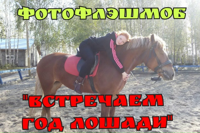 6 января 2026 года Профсоюзная организация провела яркий фотофлэшмоб "Встречаем Год Лошади"