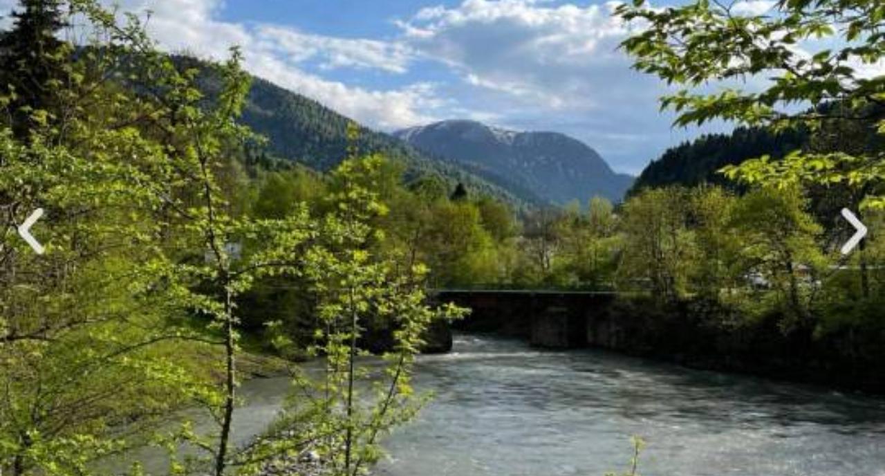 Уведомляем вас, что держатели карты #ПрофДисконт могут получить скидки в размере 20% на проживание и 10% на услуги в доме отдыха "Предгорье" в Краснодарском крае!