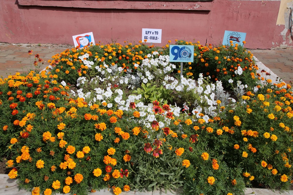 30 августа 2021 года подведены итоги профсоюзного конкурса «Мой завод – цветущий сад», посвященного в этом году 90-летию заводской профсоюзной организации.