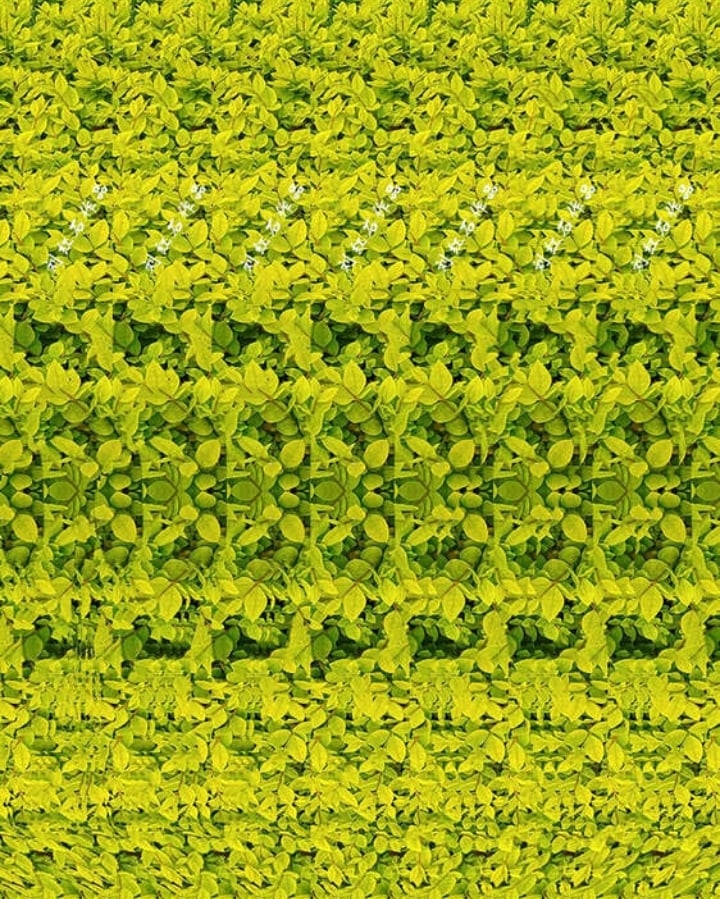 #ПятничнаяФантомашка