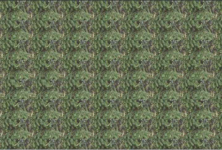 #ПятничнаяФантомашка